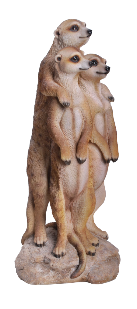 Erdmännchen