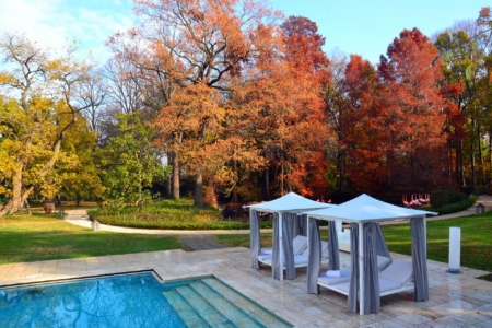 Pavillon Day Living – Bild 6