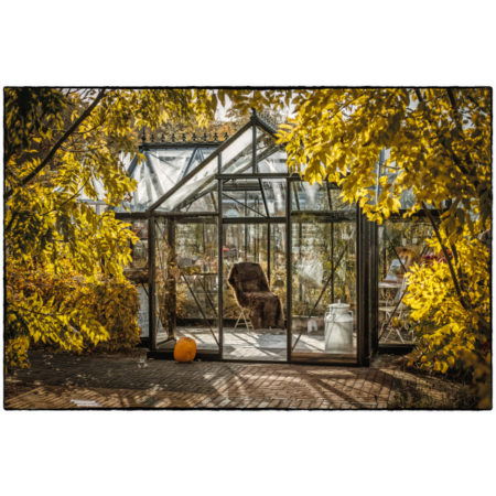 Orangerie THEIA (392 x 476 cm) – Bild 3