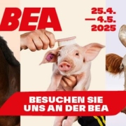 BEA 2025