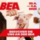 BEA 2025
