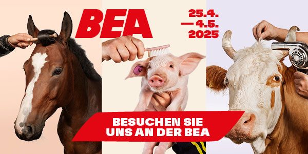 BEA 2025